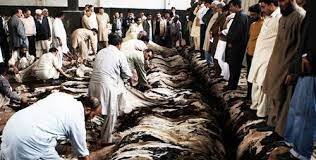 Pakistan Leather Garments Manufacturers & Exporters Association